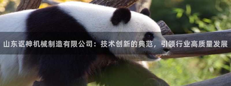云顶国际app官方下载安装手机版