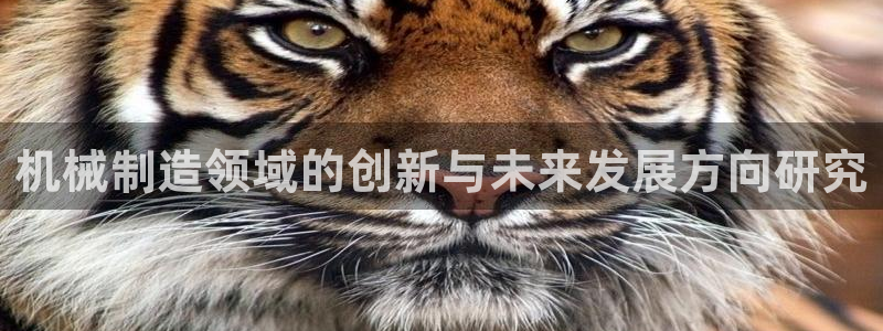 云顶手游国际服什么时候更新4.5