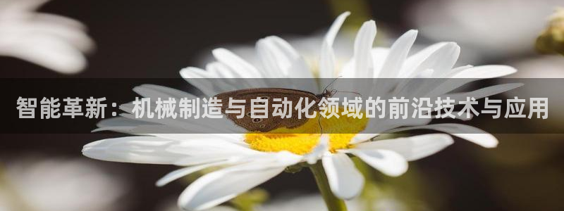 云顶国际服联机