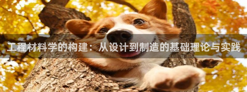 云顶yy