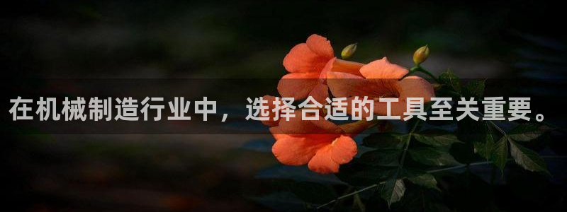 云顶国际提款不到账什么原因