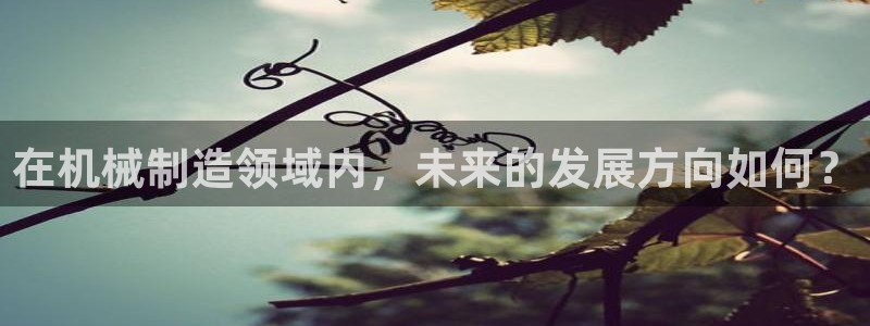 云顶游戏网址