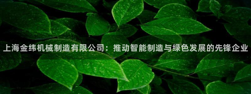 马来西亚云顶集团简介