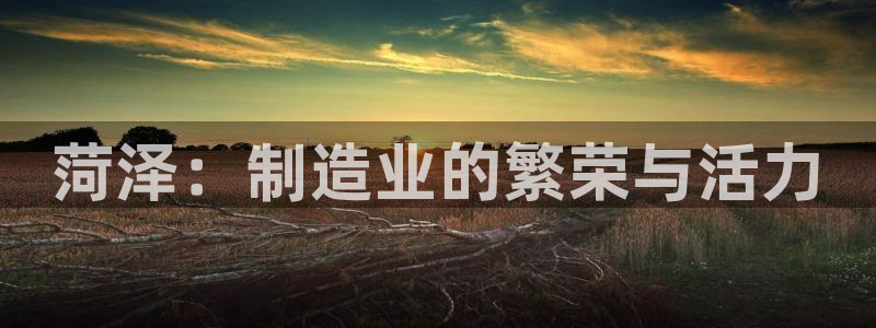 云顶集团下载