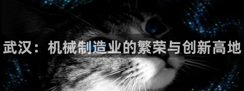云顶国际是黑台吗