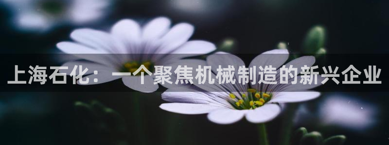云顶国际服s11什么时候上线