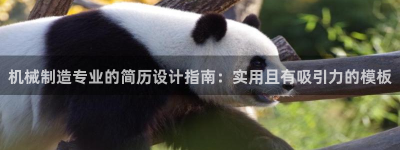云顶集团招聘是真的吗