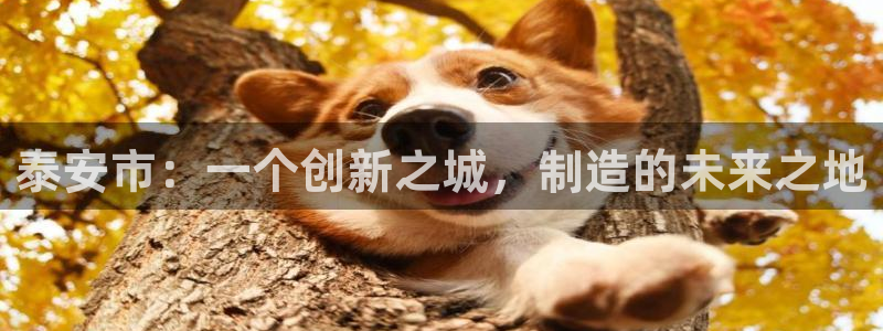 云顶国际下载地址