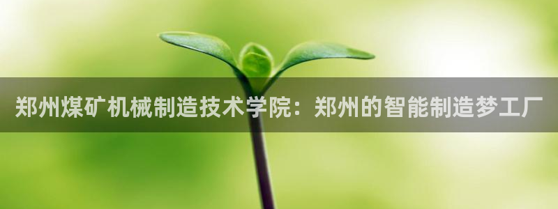 云顶国际酒店几星
