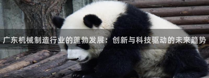 云顶讲解
