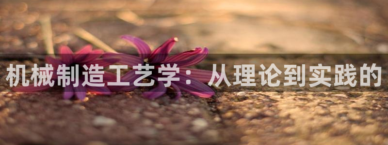 云顶国际城手机网址是什么
