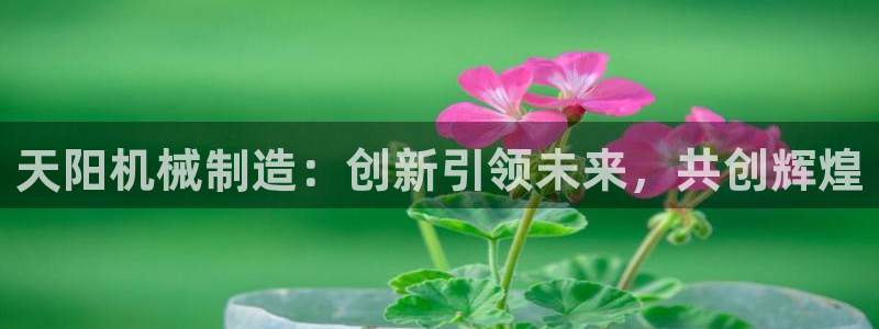 云顶国际是个什么网站