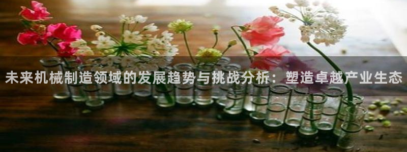 yd2333云顶贵宾会