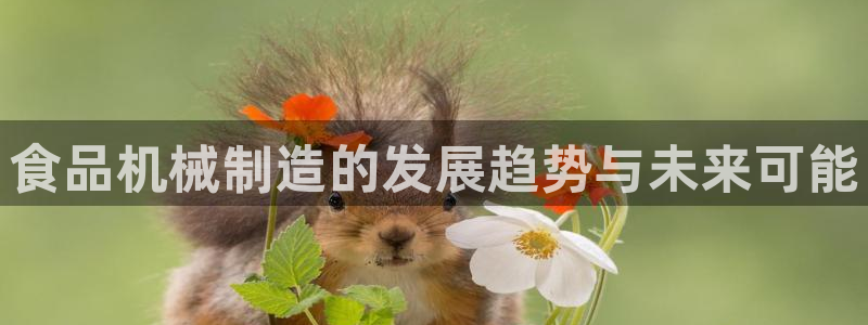 云顶国际区块链怎么样啊