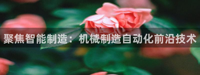 云顶国际游戏平台