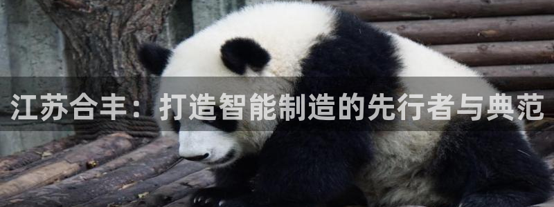 云顶国际网站打不开