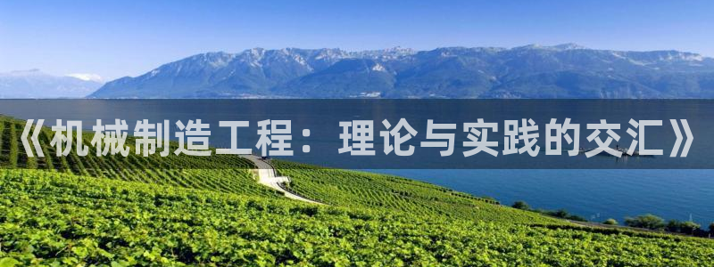 云顶国际平台怎么样