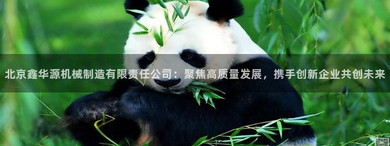 云顶国际能提现吗安卓