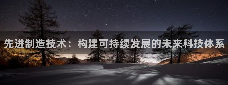 云顶电子游戏平台