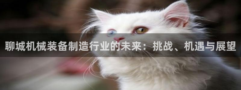 云顶国际服叫啥