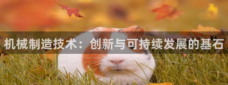 云顶国际老板是谁