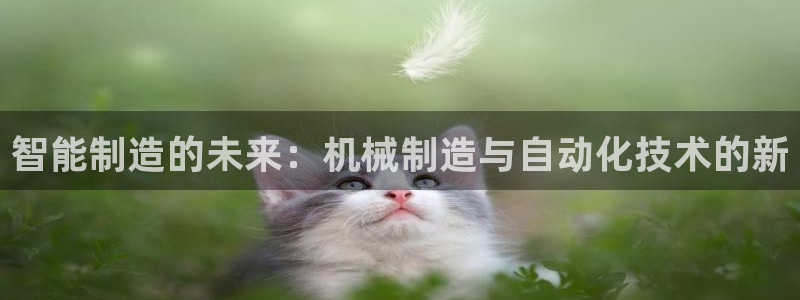 云顶国际平台游戏