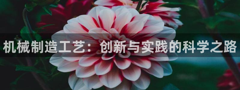 云顶集团在中国有投资吗?