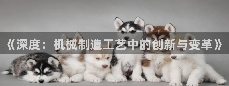 云顶国际服怎么下载