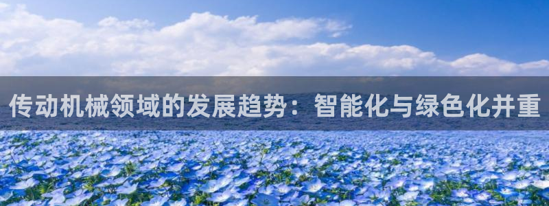 云顶集团老板是谁