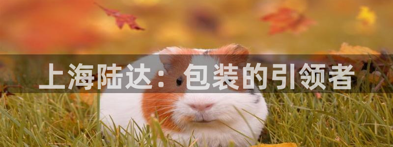 云顶集团老总简介