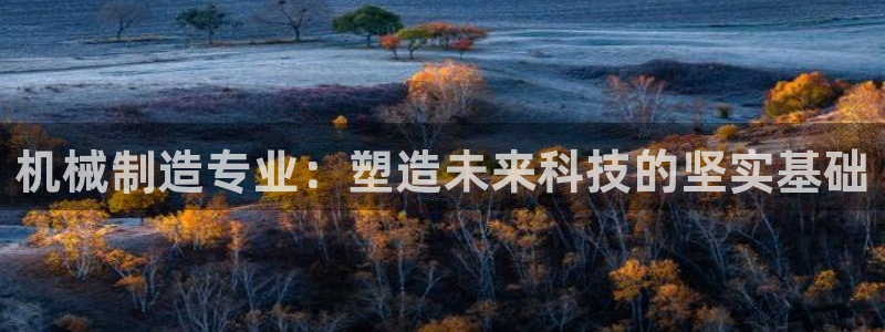 云顶集团有限公司