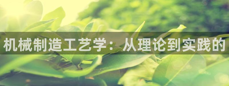 云顶国际大酒店房间价格表