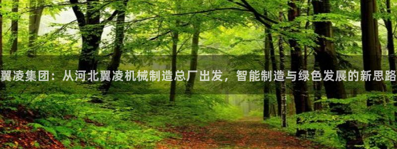 云顶国际登录不了怎么办