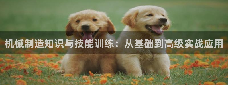 云顶国际服更新公告