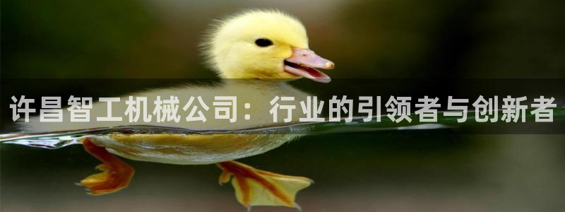 云顶国际集团官网招聘