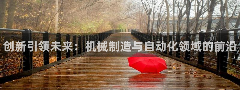 云顶国际服充值