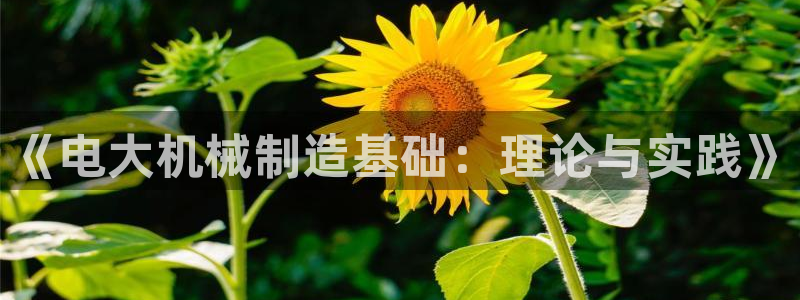 云顶国际KTV商务会所(新华街南段店)简介